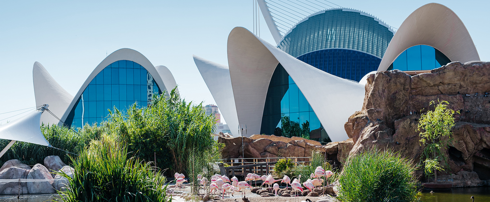 Oceanogràfic, Valencia