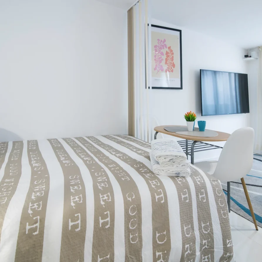 Bright room with bed, table, plant, and TV