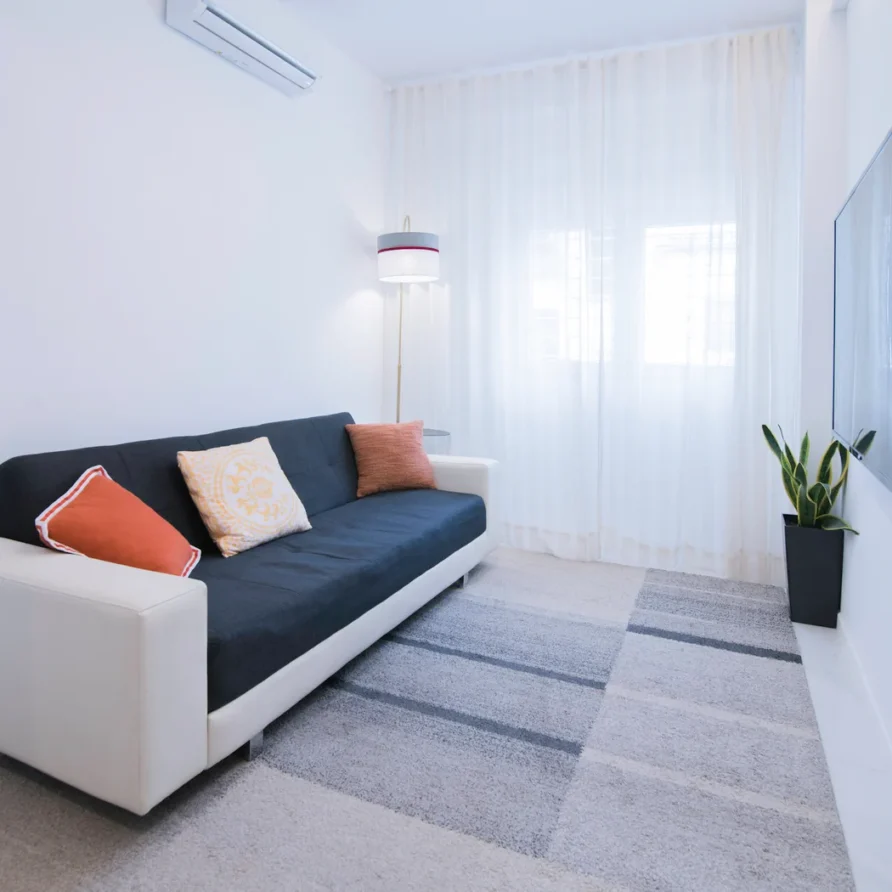 A cozy living room with a couch, pillows, rug, lamp, and plant