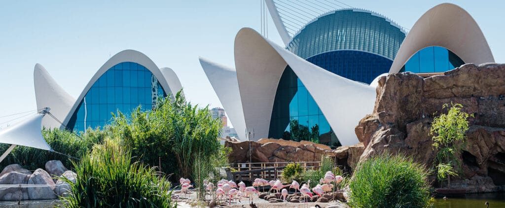 The Oceanografic of Valencia