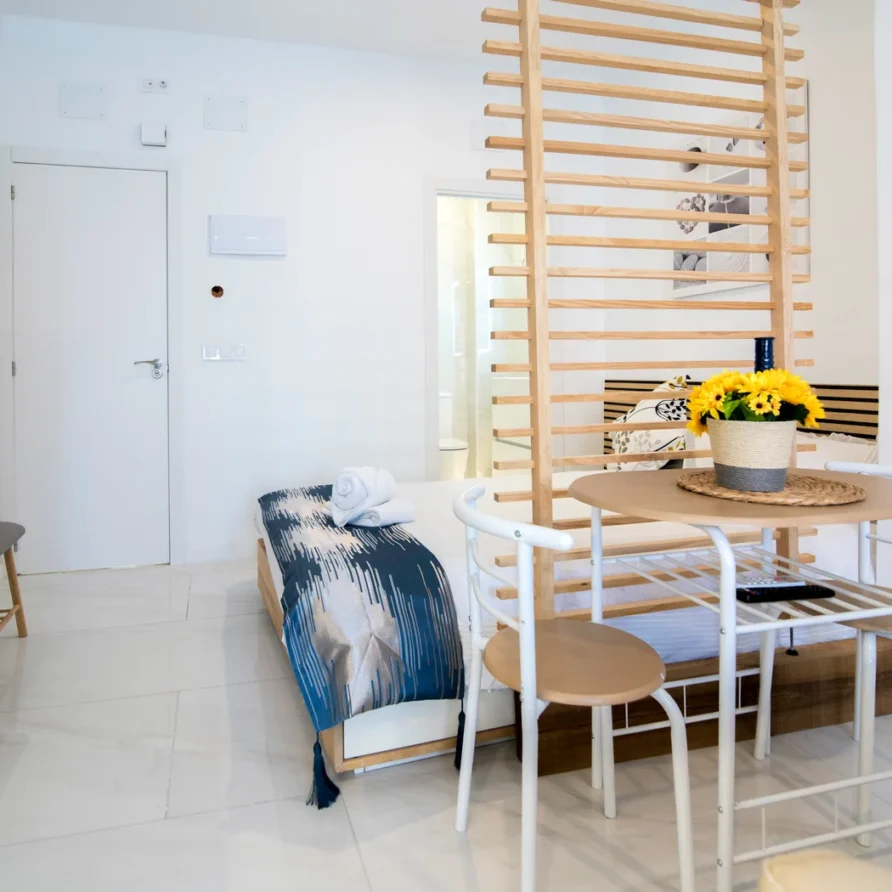 A modern studio apartment