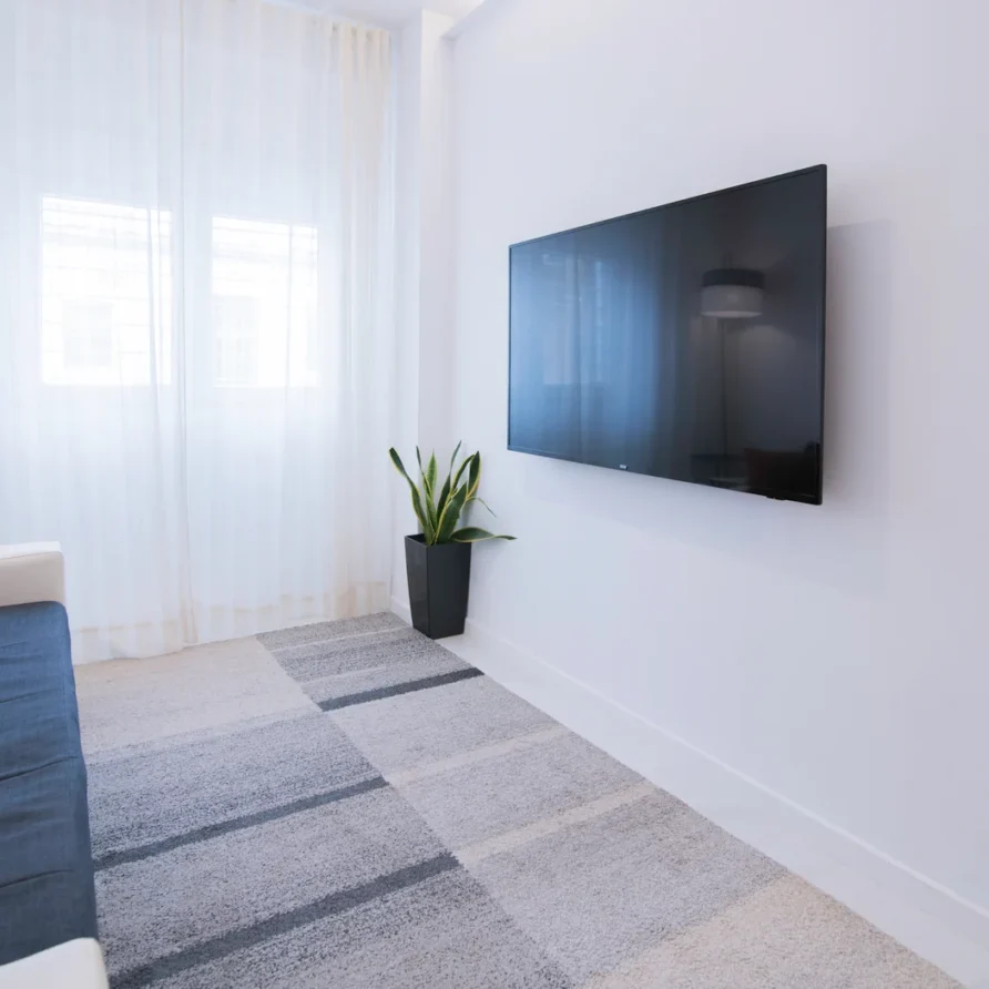 A wall-mounted TV in a minimalist room with a plant