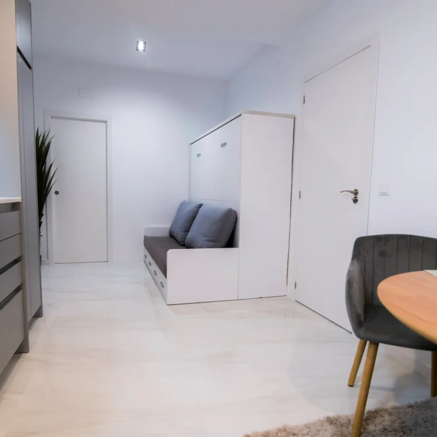 Modern studio apartment with sofa bed