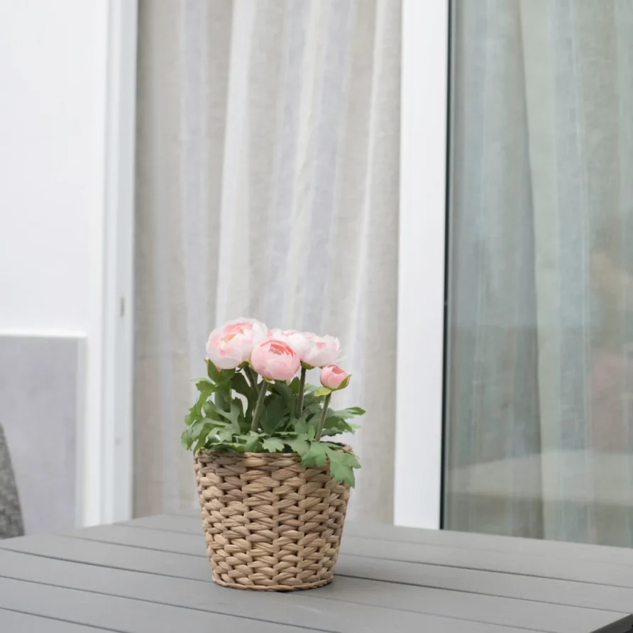 potted plant with pink flowers
