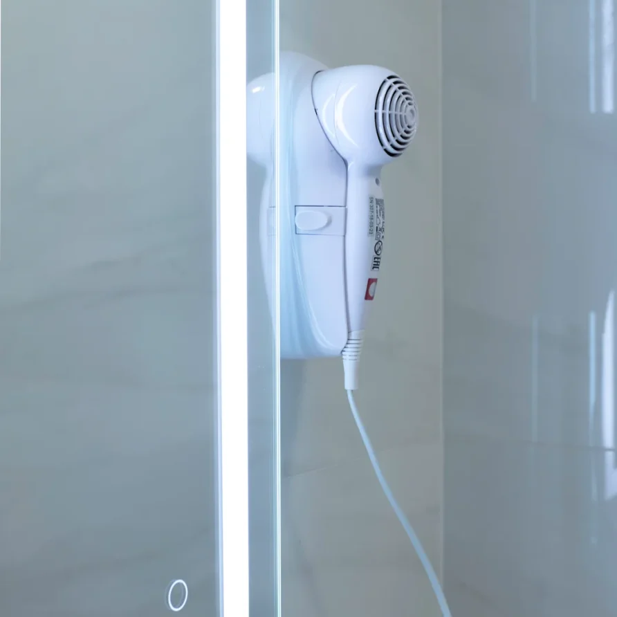 Wall-mounted hair dryer beside shower door